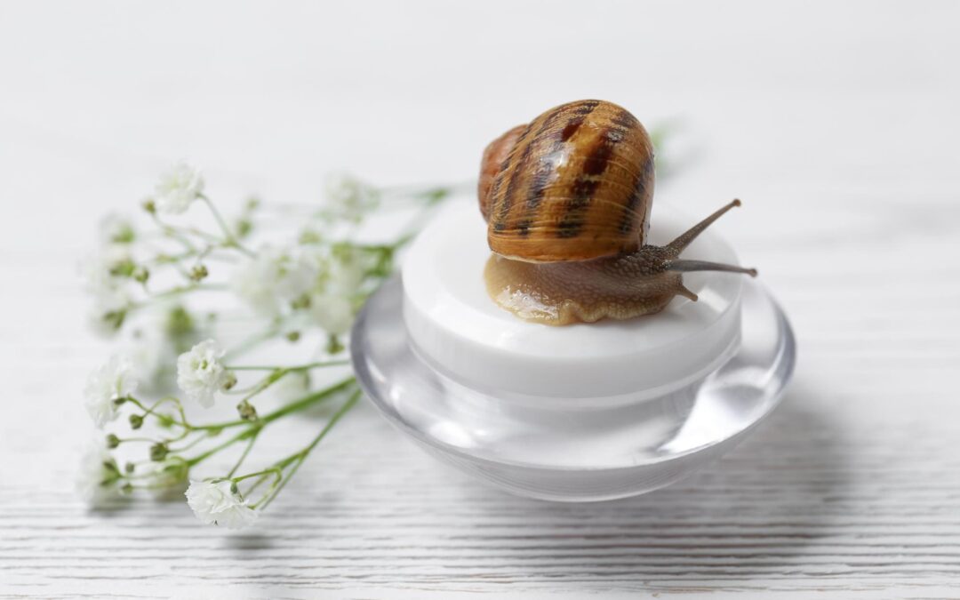 Bava di lumaca: il segreto naturale per una pelle giovane e una salute migliore
