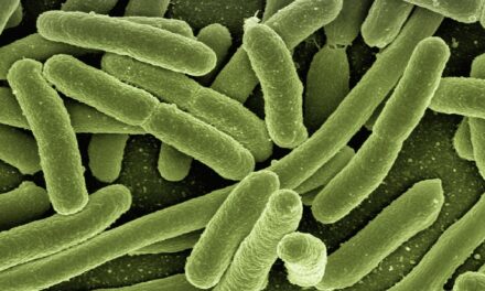 ESCHERICHIA COLI