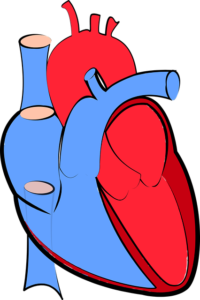 insufficienza cardiaca cuore cause cure foto1