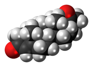 progesterone ormone corpo luteo foto1