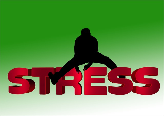 STRESS OSSIDATIVO