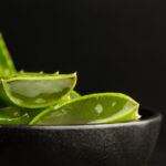 Aloe Vera: scopri i benefici essenziali per la Salute e il Benessere