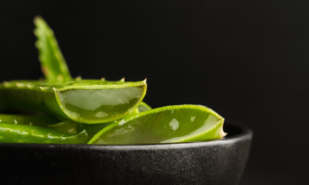 Aloe Vera: scopri i benefici essenziali per la Salute e il Benessere