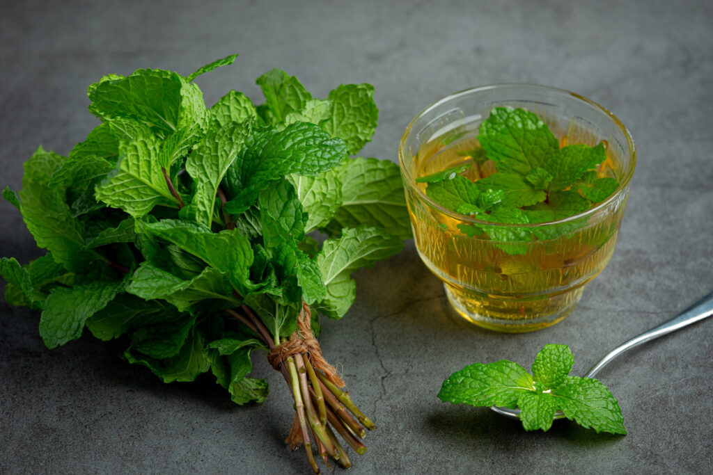 Benefici della menta piperita per la salute